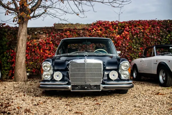 블루칩 카지노 안드로이드/iOS 앱